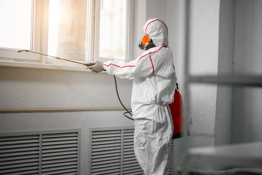 Professional mold remediation services in Glen Cove, NY